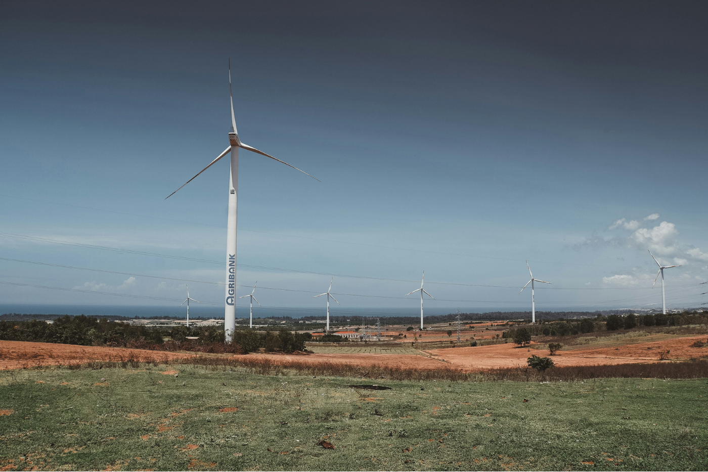 Wind turbines in a field representing sustainable and renewable energy sourcing