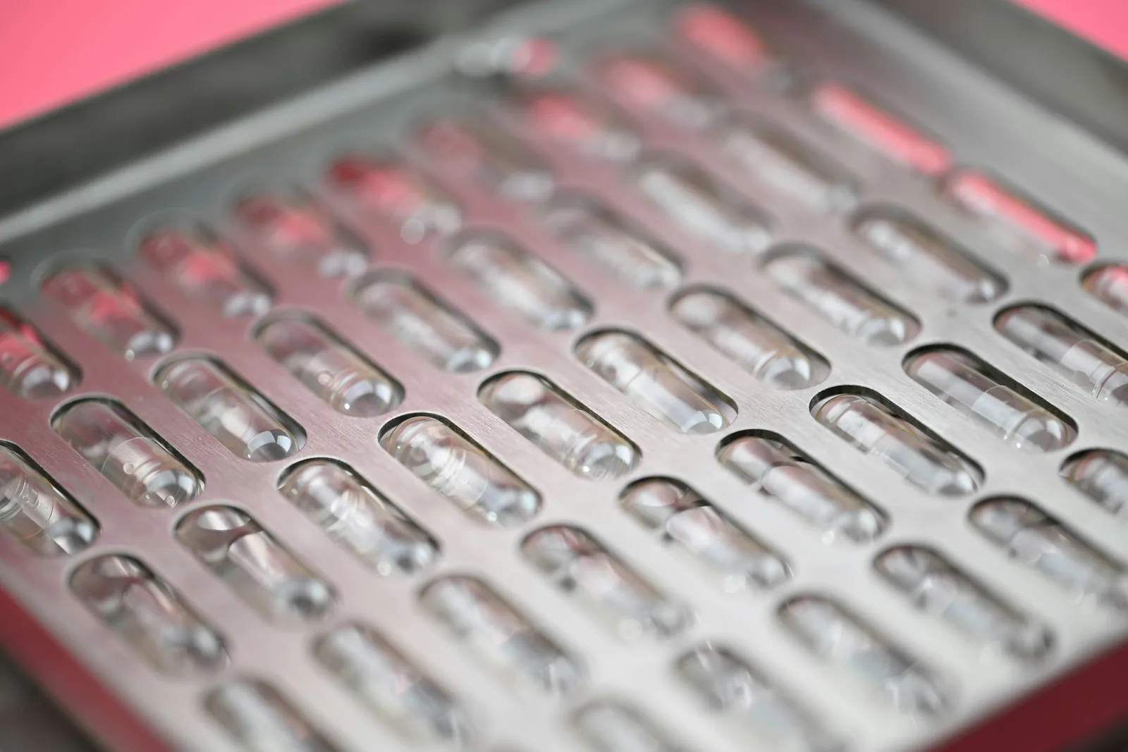 Empty gelatin capsules in a stainless steel encapsulation tray at a supplement manufacturing facility